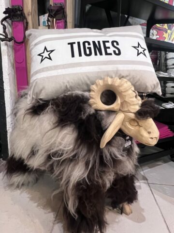 La ptite Ginette - Article - 4